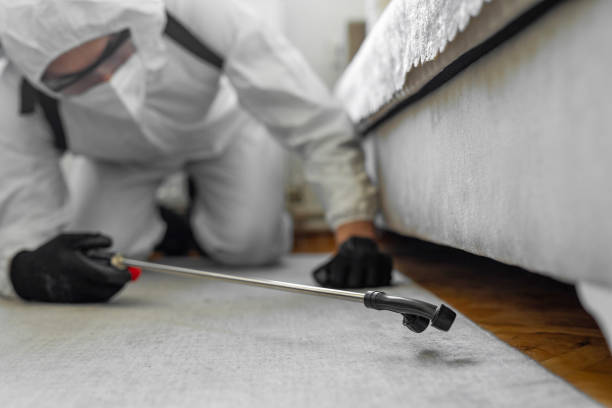 Professional Bed Bug Control technician working in Englewood, NJ
